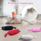 KUTKUT 5Pcs Bite Resistant Catnip Toy for Cats, Catnip Filled Cartoon Mice Cat Teething Chew Toy, Interactive Kitten Exercise Kicker Toys for Indoor Cats, Cat Pillow Toys, Cat Toys for Kittens